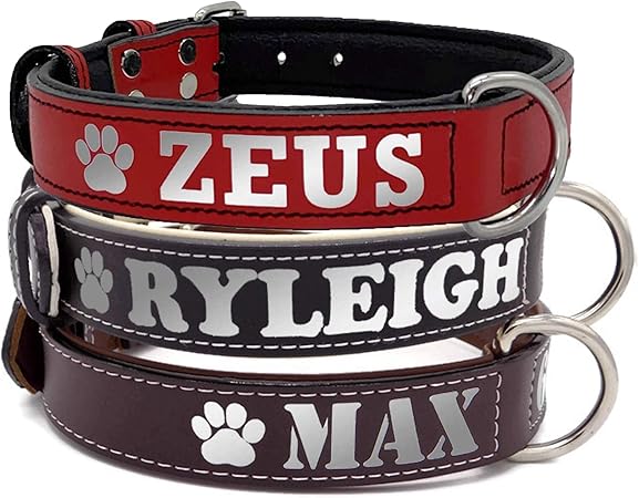 amazon dog collar with name