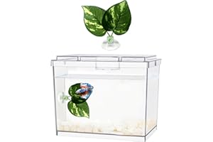 MoonOrange Mini Betta Fish Tank, Small Fish Bowl for Temporary Space, 0.2 Gallon Stackable Cube Tank with Betta Leaf and Gravels for Small Fish, Insect, Shrimp, Crab, Spider.(Pack-1)