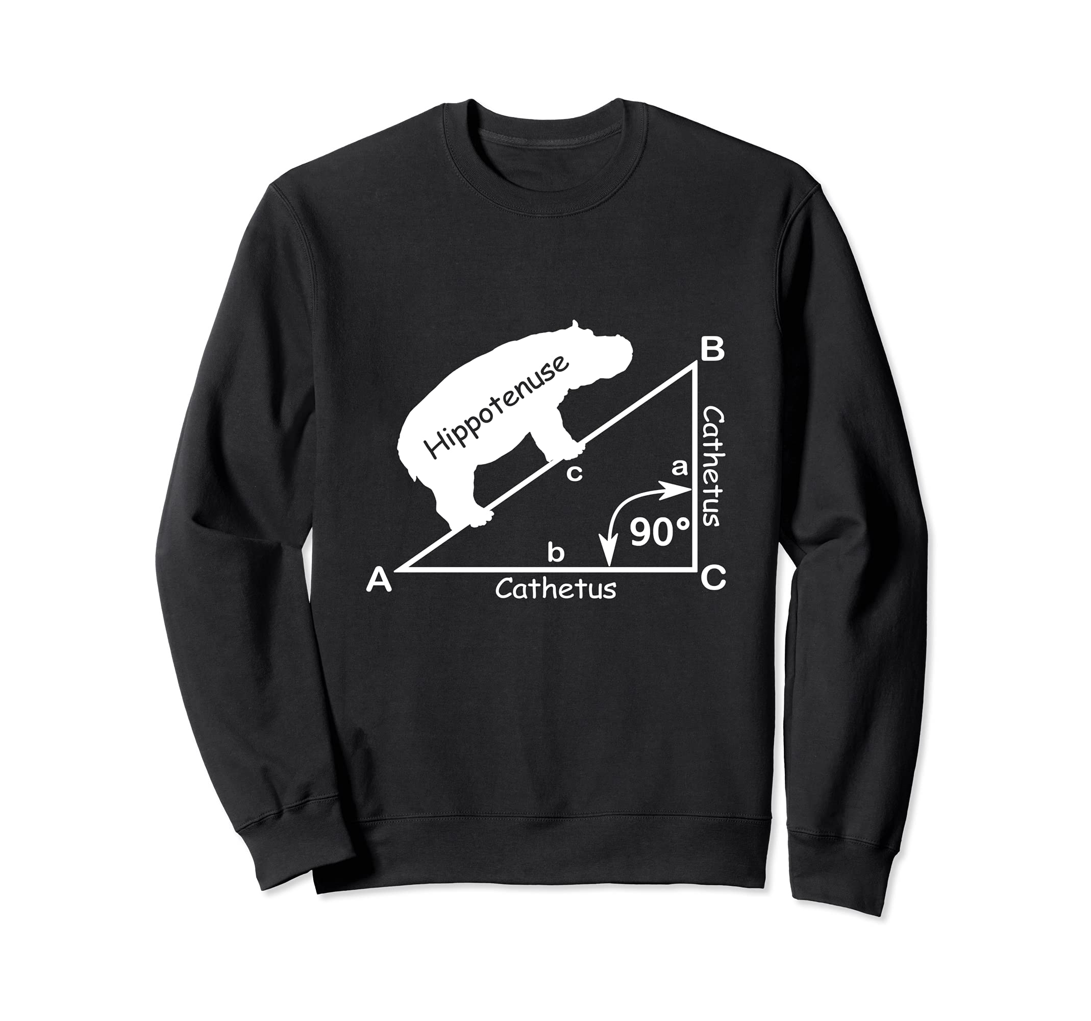 Hippotenuse Hippopotamus Hypotenuse Funny Math Geometry Sweatshirt