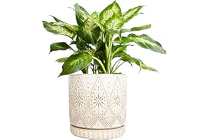YFFSRJDJ 8 Inch Indoor Plant Pot with Drainage Holes and Saucers, Ceramic Planter for Plants, Succulent Orchid Flower Pots