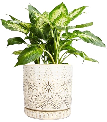 Amazon.com: Gepege 8 Inch Plant Pot, Creamy White Ceramic Planter