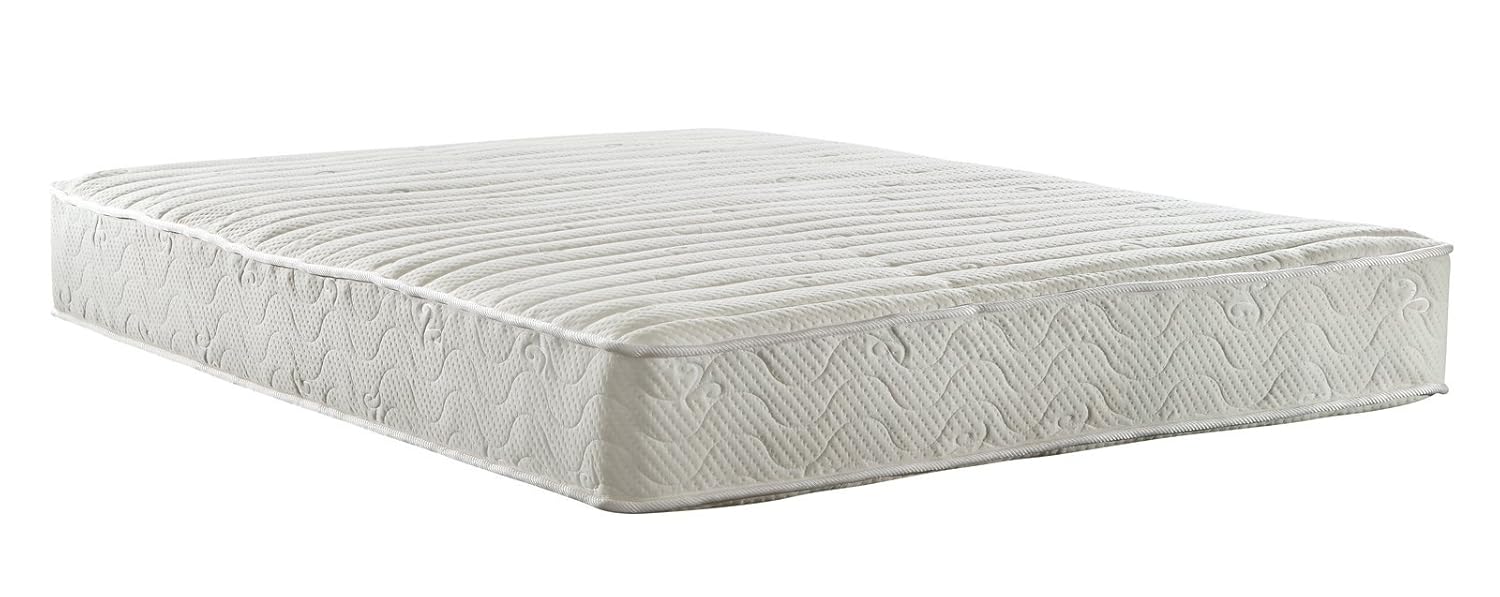 Amazon.com: Signature Sleep Contour 8 pulgadas de ...