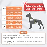 Belababy Dog Harness Small Medium Large No Pull Adjustable Reflective Front view 2