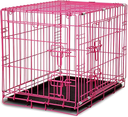 potty train without crate