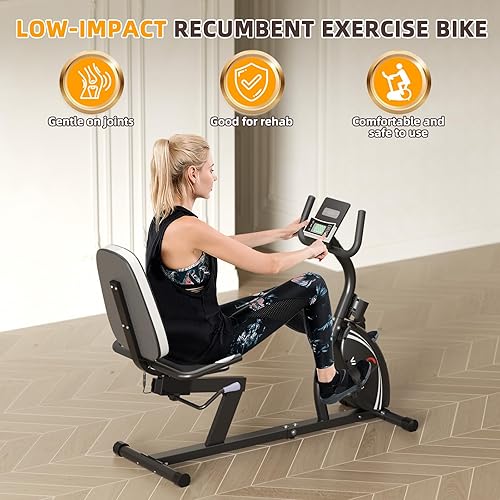 VANSWE Recumbent Exercise Bike for Adults Seniors For Home