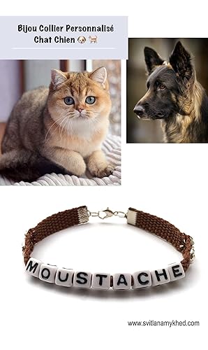 Collier Pour Chat Chien Animaux Compagnie Avec Message
