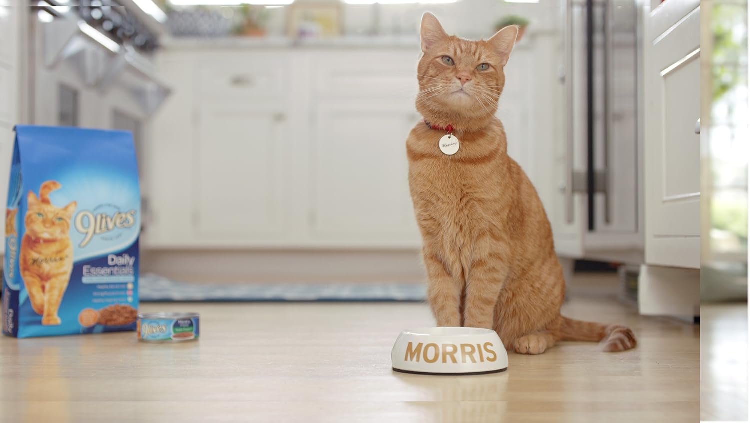 9 lives daily essentials cat food