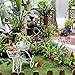 Teenitor Decorative Garden Stakes, 40pcs 12cm Butterfly Garden Stakes Garden Stake Decor Butterflies Stakes for Outdoor Yard Christmas Decorations