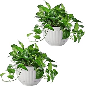 T4U Resin Wall Planter Marble Gray Set of 2, Wall Mounted Garden Plant Flower Pot Basket Container Indoor Outdoor Use for Orchid Herb Aloe Succulent Cactus Home Office Porch Wall Decoration Gift