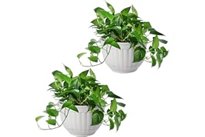 T4U Resin Wall Planter Marble Gray Set of 2, Wall Mounted Garden Plant Flower Pot Basket Container Indoor Outdoor Use for Orchid Herb Succulent Cactus Home Office Porch Wall Decoration Gift