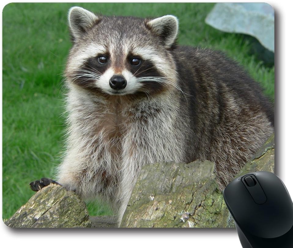 HOHOLALAY Raccoon Animal Rectangle Gaming Mouse Pad,Mousepad,Mouse Mat