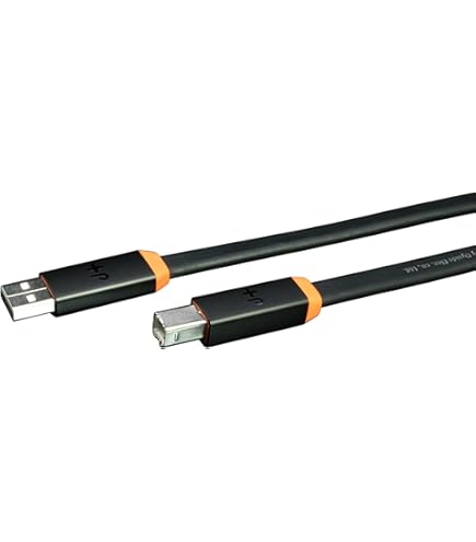 Amazon.com: Oyaide Neo d+ Series Class S USB Cable 2M : Electronics