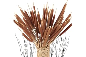 GLICRILI 45pcs Large Natural Brown Cattails Bundles - Dried Flowers Real Cat Tails for Decorating, 17'' Jumbo Cattail Bulrush Plants Floral Stems Artificial Pampas Grass Arrangements Wedding Home Farmhouse