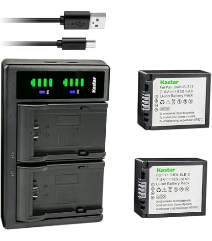 Amazon.com : Wasabi Power Battery for Panasonic DMW-BLB13 and
