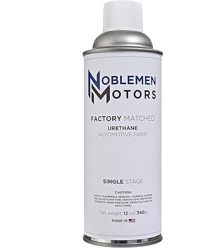 Amazon.com: Noblemen Motors Exact Match Automotive Aerosol