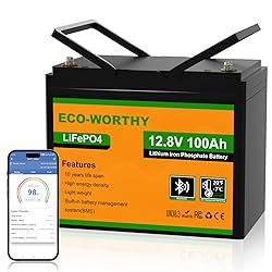 ECO-WORTHY 12V 100AH LiFePO4 Lithium Battery with