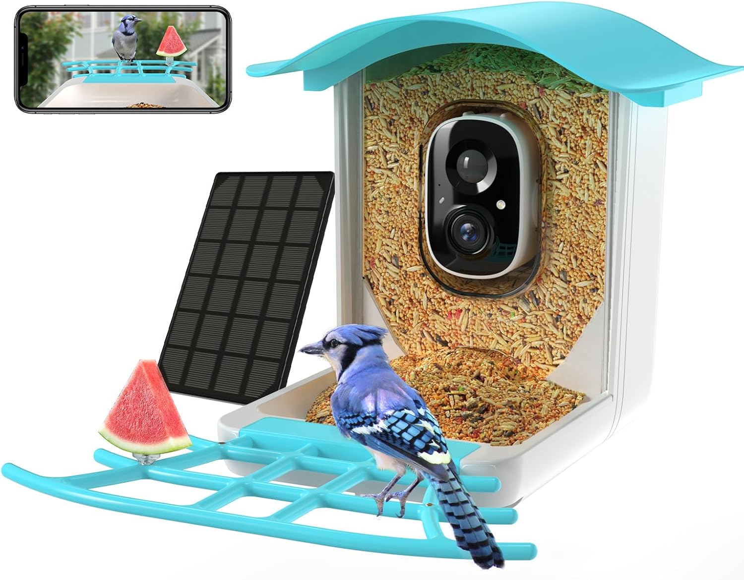 Backyard Birding & Wildlife - Outdoor Smart Bird Feeder Camera with AI Identify Bird Species, Wild Bird Watching Camera, Live View, Instant Notifications, with Solar Panel,Gift for Bird Lover and Parents