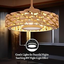 Todays Fans Bladeless Ceiling Fan with Lights