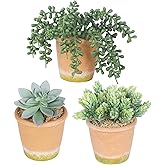 COTSEN 3 Pcs Artificial Succulent Plants Potted False Succulent Plants Potted Faux Potted Plant Family Office Bookshelf Decor