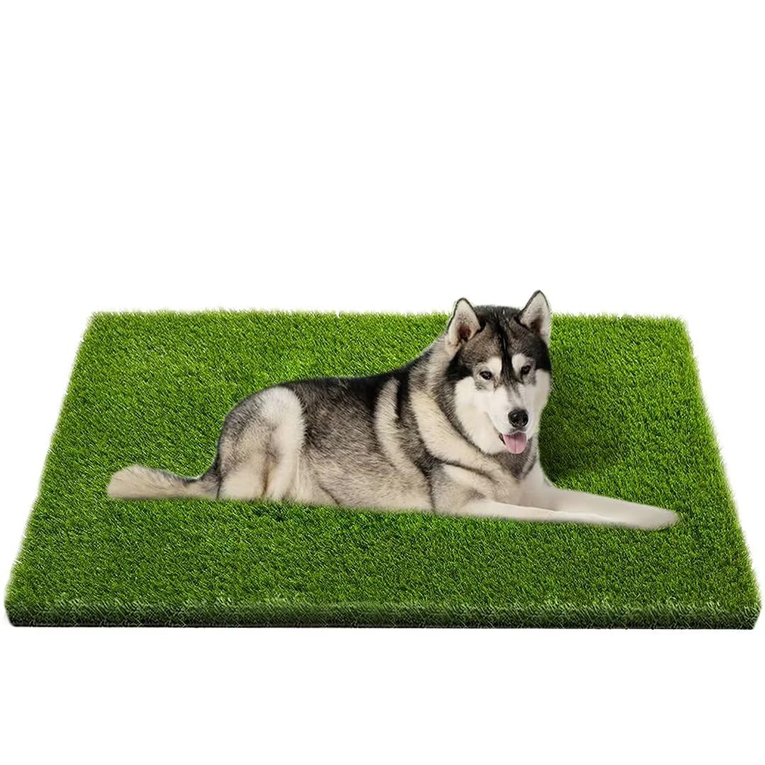 Photo 1 of CooZero Artificial Grass, Professional Dog Grass Mat, Potty Training Rug and Replacement Turf Outdoor Rug Patio Lawn Decoration, Easy to Clean with Drainage Holes(47.3x31.5 inches)
