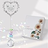 Elivida Friendship Gift Suncatcher, Best Friend Crystal Hanging Ornament for Window, Friend Birthday Gifts Unique Rainbow Maker, You Bring The Sunshine Farewell Graduation Gift for Bestie