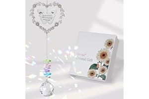 Elivida Friendship Gift Suncatcher, Best Friend Crystal Hanging Ornament for Window, Friend Birthday Gifts Unique Rainbow Maker, You Bring The Sunshine Farewell Graduation Gift for Bestie