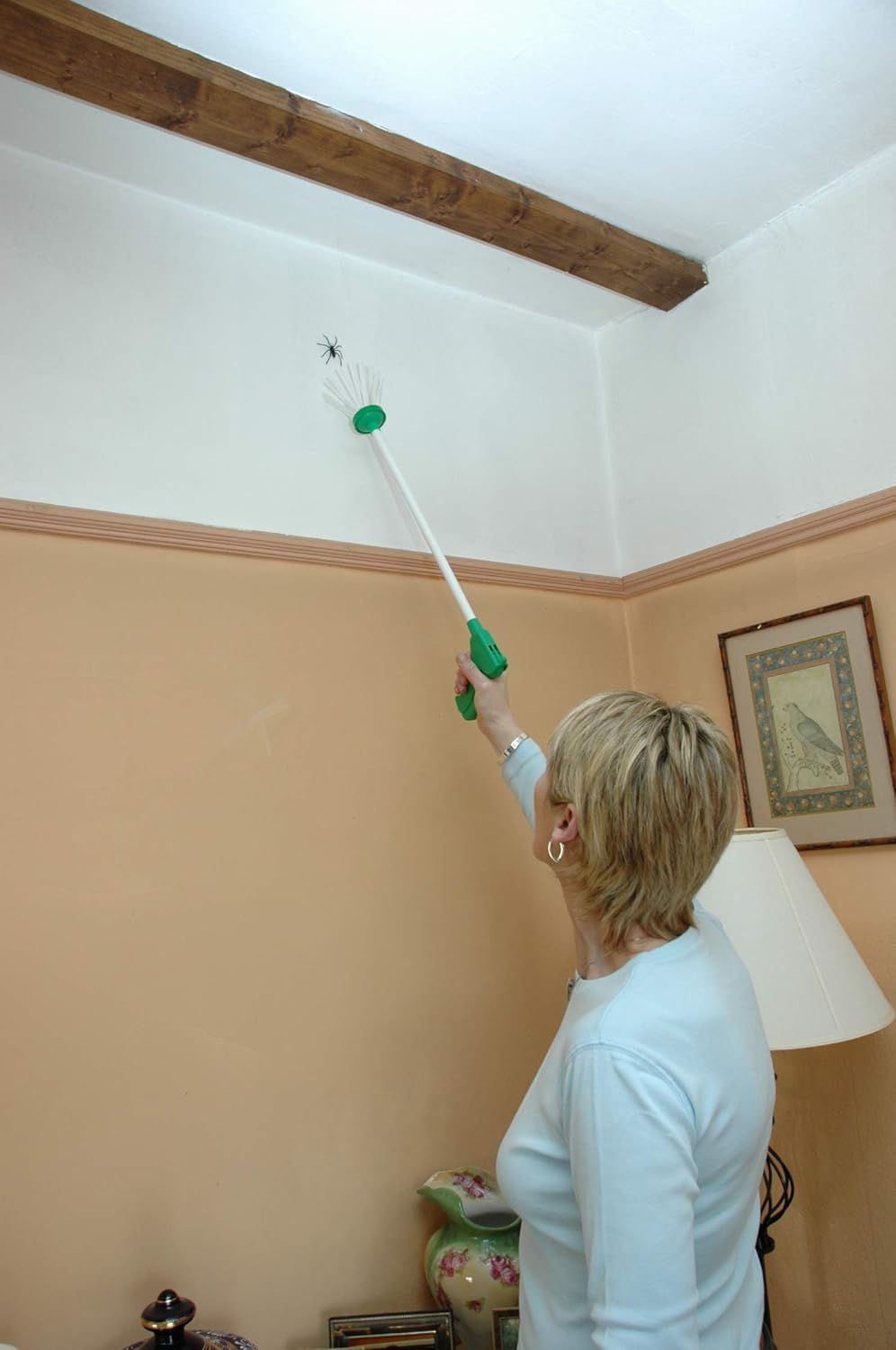 My Critter Catcher - Spider and Insect Catcher: Garden & Outdoor