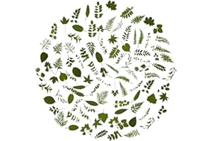 100Pcs Small Green Leaf Stickers, Obujopal Nature Plant Stickers Transparent for Scrapbooking Water Bottle Laptop Junk Journal Collage Card Making Phone Case Envelope Planner DIY Crafts, 50 Designs