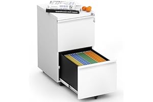 BIZOEIRON 2 Drawer Mobile File Cabinet, Metal Under Desk Filing Cabinet with Lock and Wheels, Home Office Rolling File Cabinet for Legal/Letter Hanging File Folders, Fully Assembled (White)