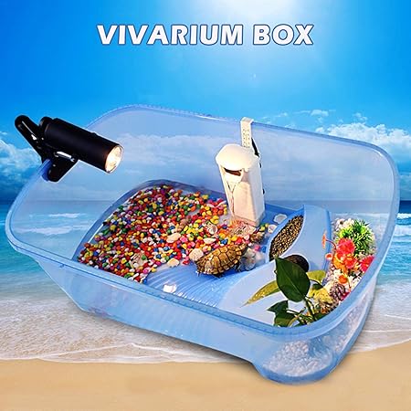 plastic tortoise table