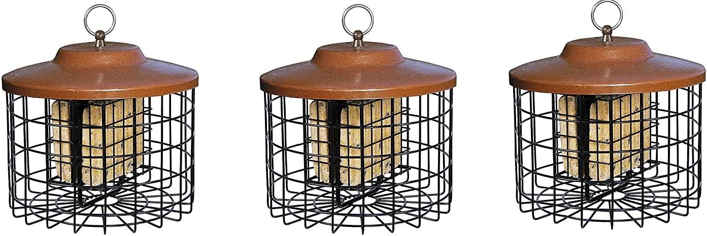 Amazon Com Stokes Select Squirrel X Squirrel Proof Suet Bird