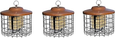 Amazon Com Stokes Select Squirrel X Squirrel Proof Suet Bird