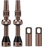 BWSHLF Tubeless Presta Valve Stem