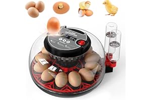 GENERIC Incubators for Hatching Eggs,12 Egg Automatic Egg Turner with Temperature Humidity Control,Digital Display,Auto Alarm,360° Viewing for Chicken,Quail,Duck Eggs