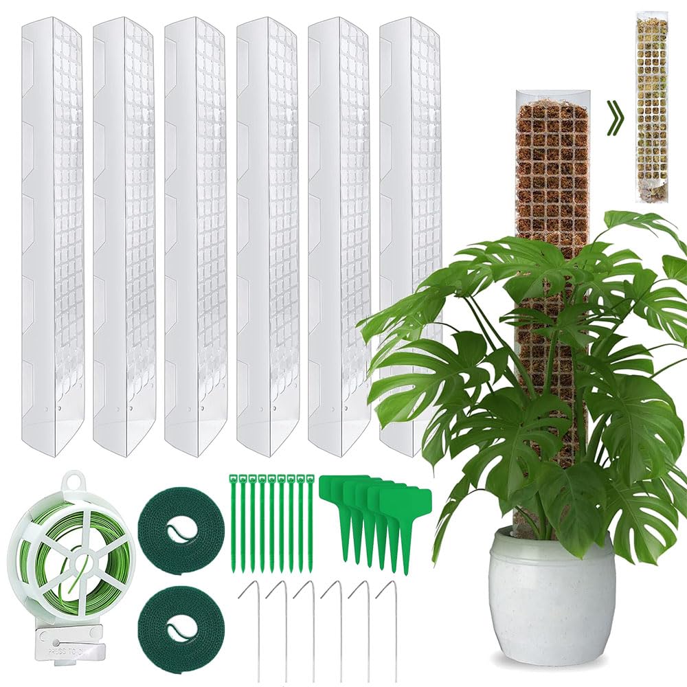 Moss Rod Trellis 6 Pieces 61 cm, Trellis Indoor Plants, Trellis Monstera, with 6 Ground Spikes, 2 Straps, 30 m Garden Twist Ties, 10 Plant Labels and 10 Cable Ties