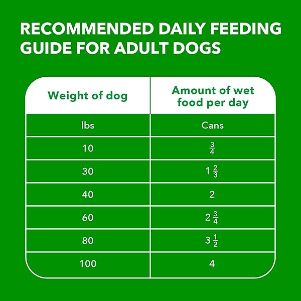 IAMS PROACTIVE HEALTH ADULT WET DOG FOOD CLASSIC GROUND WITH CHICKEN AND RICE, 13 OZ. CANS (6 COUNT, PACK OF 1)