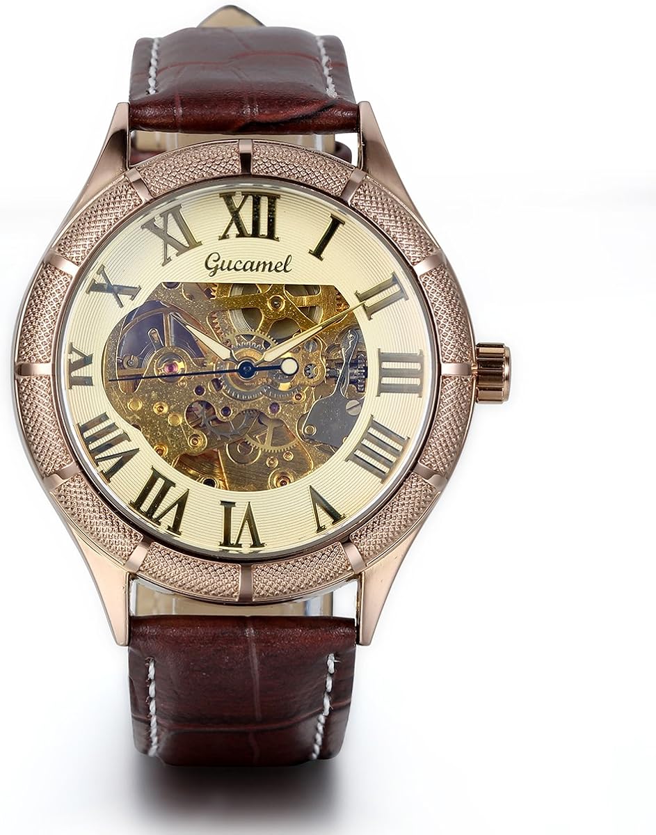 JewelryWe Classic Skeleton Mechanical Movement Wristwatch Brown Leather Business Men's Watch