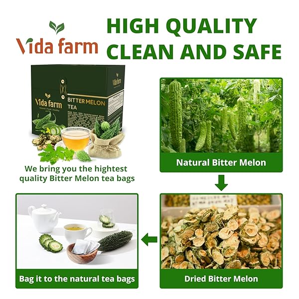 VIDA FARM 75 PREMIUM BITTER MELON TEA BAGS, ZERO SUGAR TEA, HANDPICKED, 100% PURE AND NATURAL DRIED BITTER MELON, NON-GMO, NO CAFFEINE, GLUTEN-FREE, VEGAN
