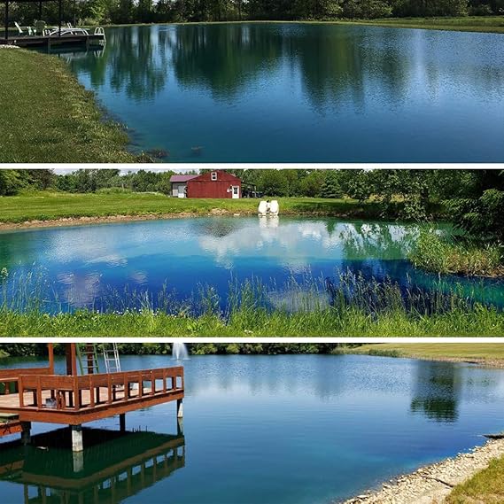 Amazon Com Crystal Blue Lake And Pond Dye Royal Blue Color 1 Gallon Pond Water Treatments Garden Outdoor
