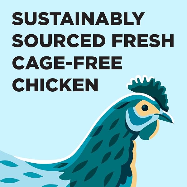 BIXBI LIBERTY CANNED WET CAT FOOD – GRAIN FREE, CHICKEN AND SALMON RECIPE IN BROTH, 2.75 OUNCE (PACK OF 24)