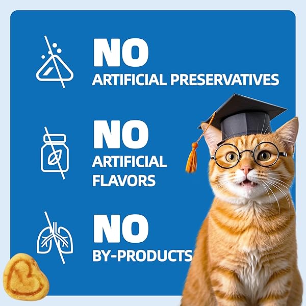 WELLIX 13.5OZ CALMING CAT TREATS FOR INDOOR CATS – CHICKEN FLAVOR KITTEN TRAINING SNACKS FOR BEHAVIORAL & PROMOTES RELAXATION WITH CHAMOMILE POWDER & MELATONIN