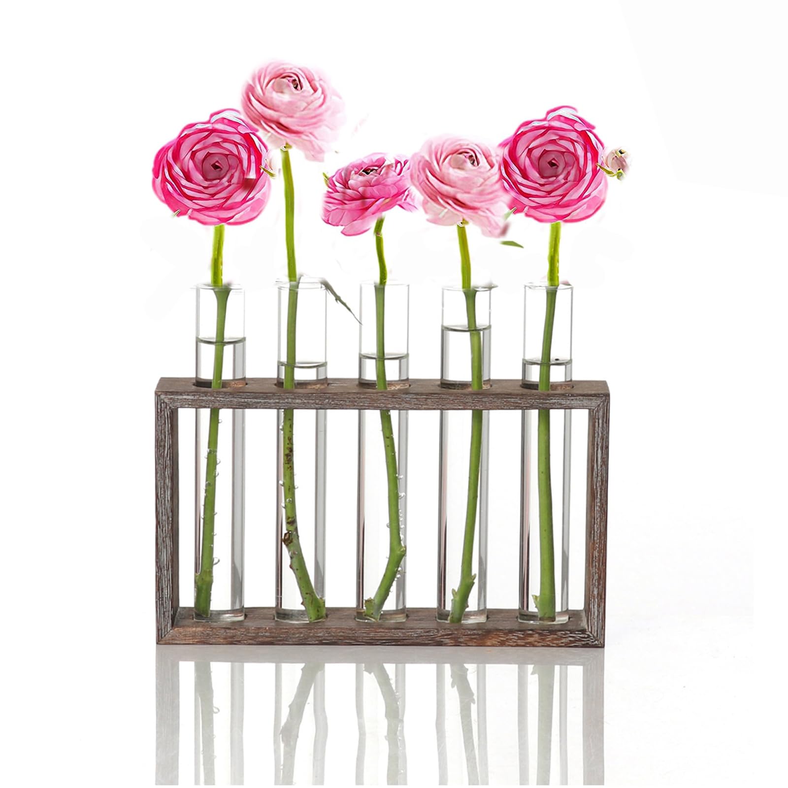 Propagation Stations Tabletop Innjoii- Glass Planter Plant Terrarium Modern with 5 Test Tubes, Flower Bud Vase with Wooden Stand, Propagating Hydropoinc Home Office Decoration, Brown