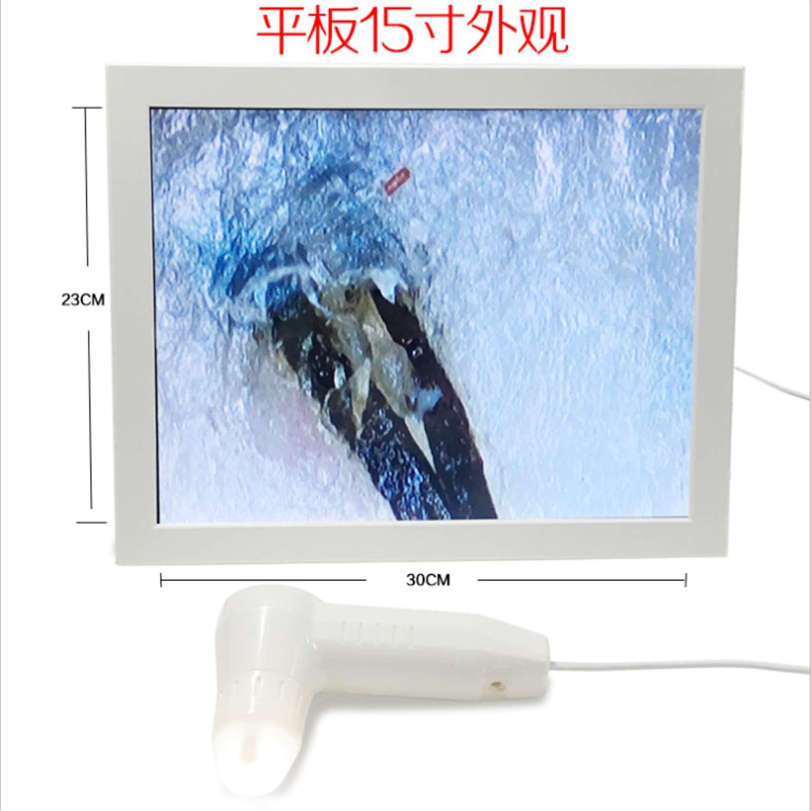 JYtop® 2019 New Hair skin detector scalp hair follicle hair detector hair salon beauty salon skin test equipment