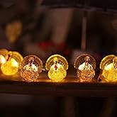 Decorative Fairy Mini Turkey String Lights Autumn Garland Cute Novelty Fall Lights 20 LEDs 8ft USB or Battery Operated for Thanksgiving Centerpiece Decoration Bedroom Wedding Birthday Harvest Decor