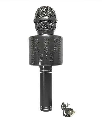 wireless mike with speaker