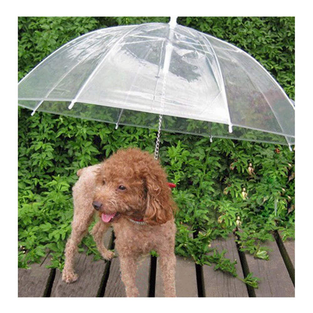 dog lead umbrella