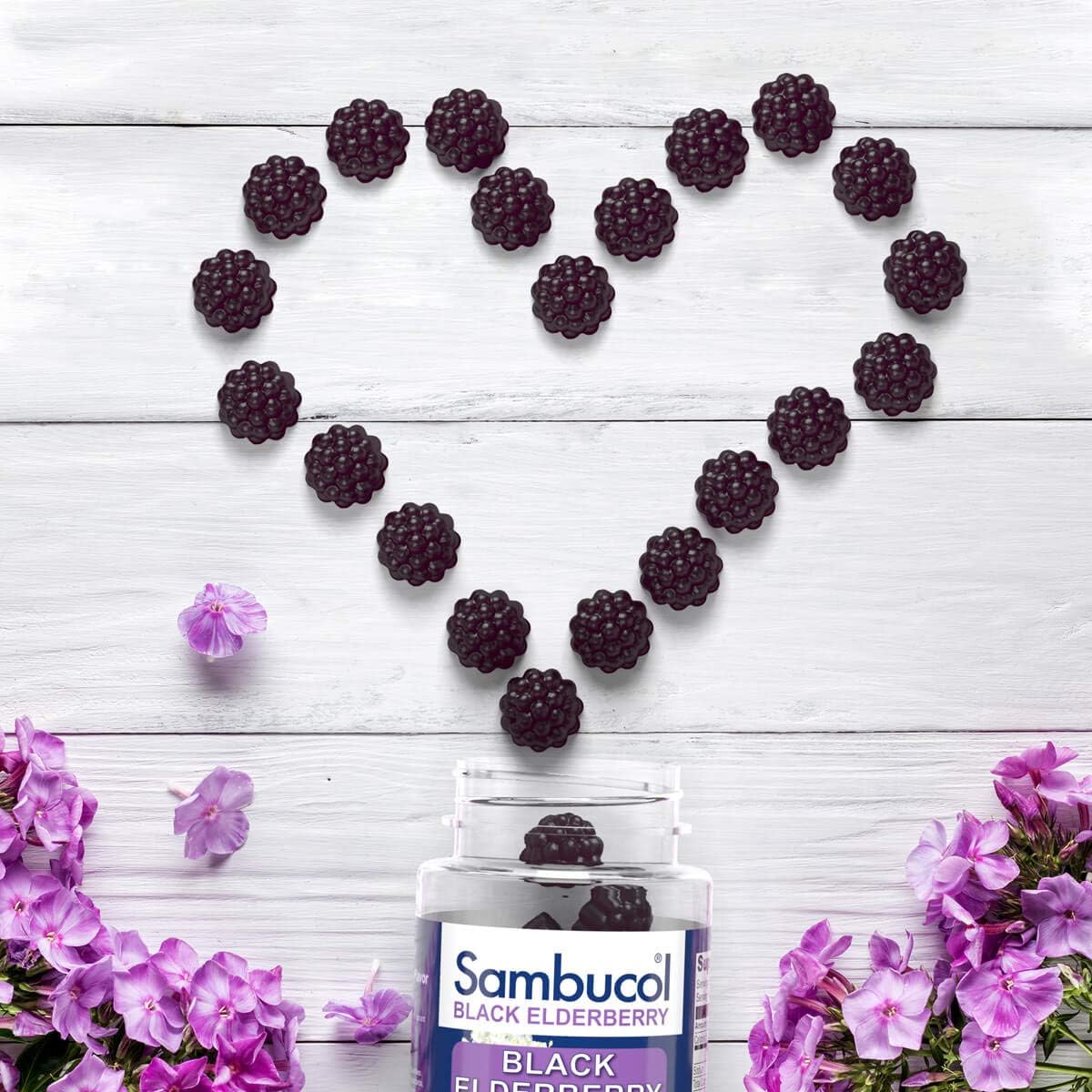 Sambucol Black Elderberry Gummies, 30 Gummies: Health & Personal Care