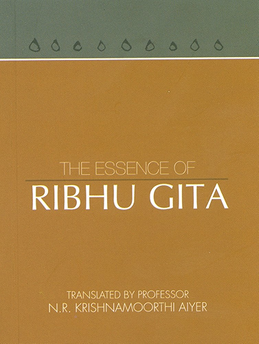 Download The Essence of Ribhu Gita (English Edition) PDF