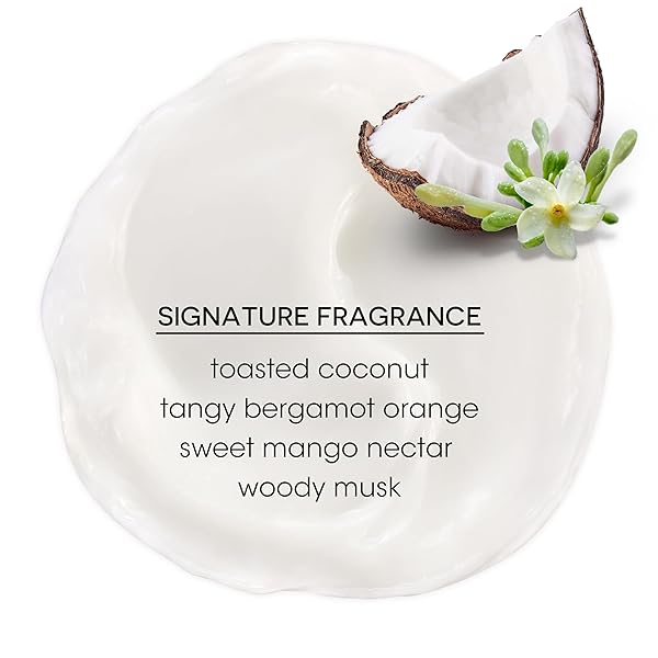 BAIN DE TERRE COCONUT PAPAYA ULTRA HYDRATING CONDITIONER, MOISTURE QUENCH FOR DRY, DAMAGED HAIR, WITH ARGAN & MONOI OILS, PARABEN-FREE, COLOR-SAFE, VEGAN, 13.5 FL OZ