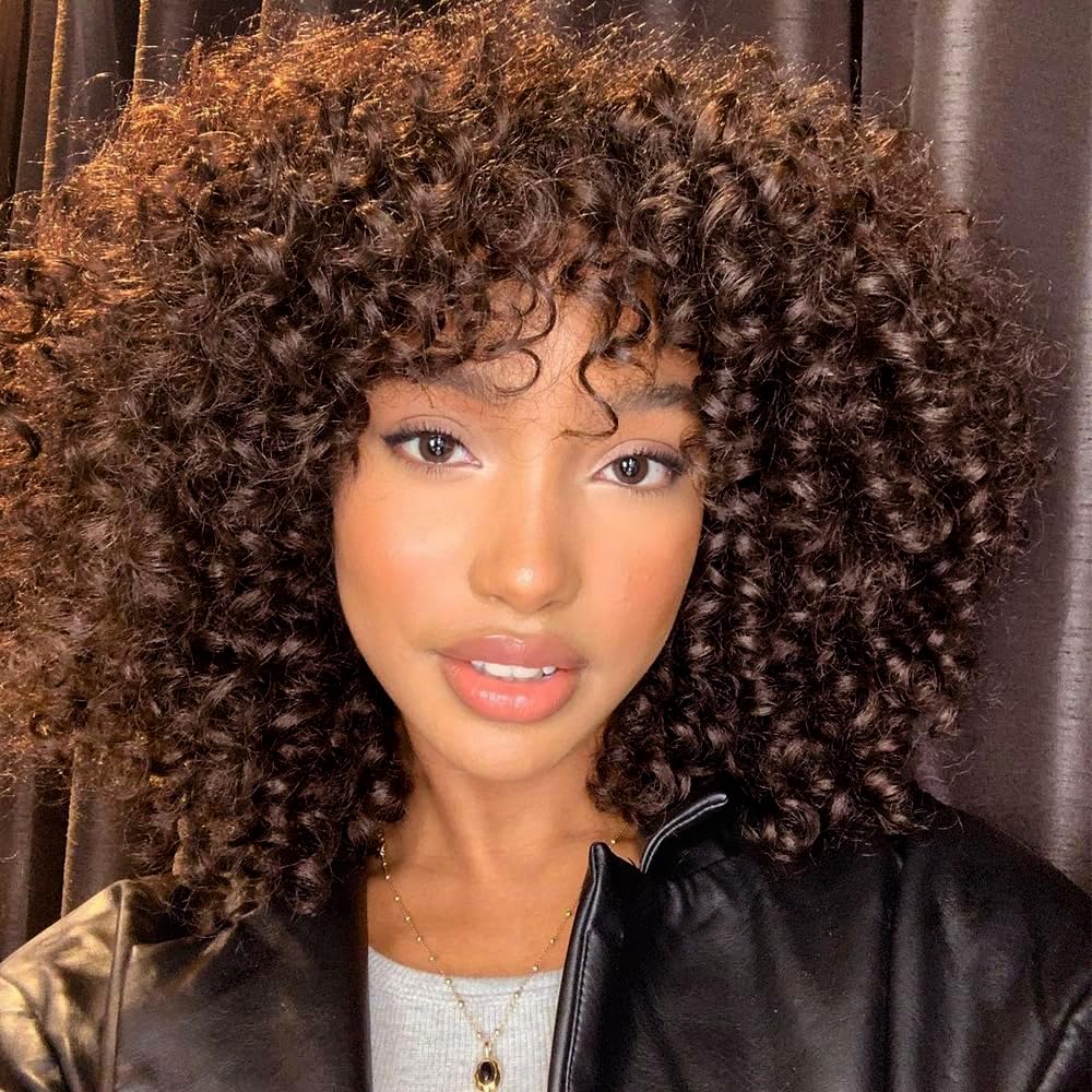 Colorfulpanda Dark Brown Curly Afro Wigs for Women Medinum Length Natural Synthetic Hair Afro Kinky Curly Wig for Costume Wig or Daily Wear